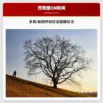 多莉·帕顿在Dollywood开园日畅谈健康状况