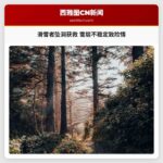 滑雪者坠入八英尺深洞获救