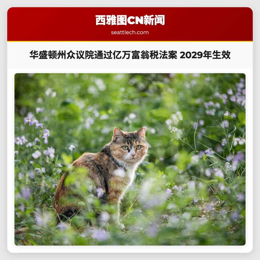 华盛顿州众议院通过亿万富翁税法案 2029年生效