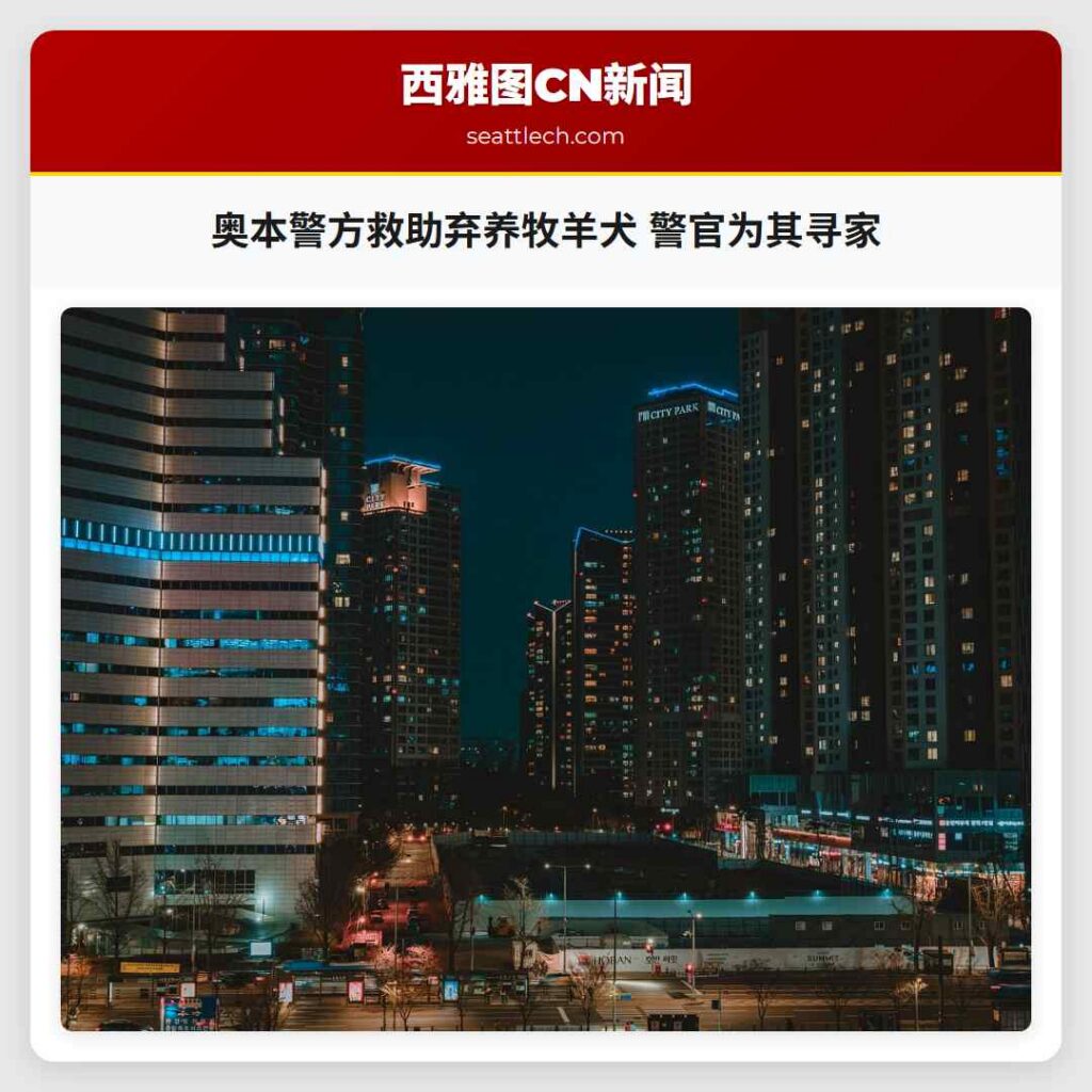 奥本警方救助弃养牧羊犬 警官为其寻家