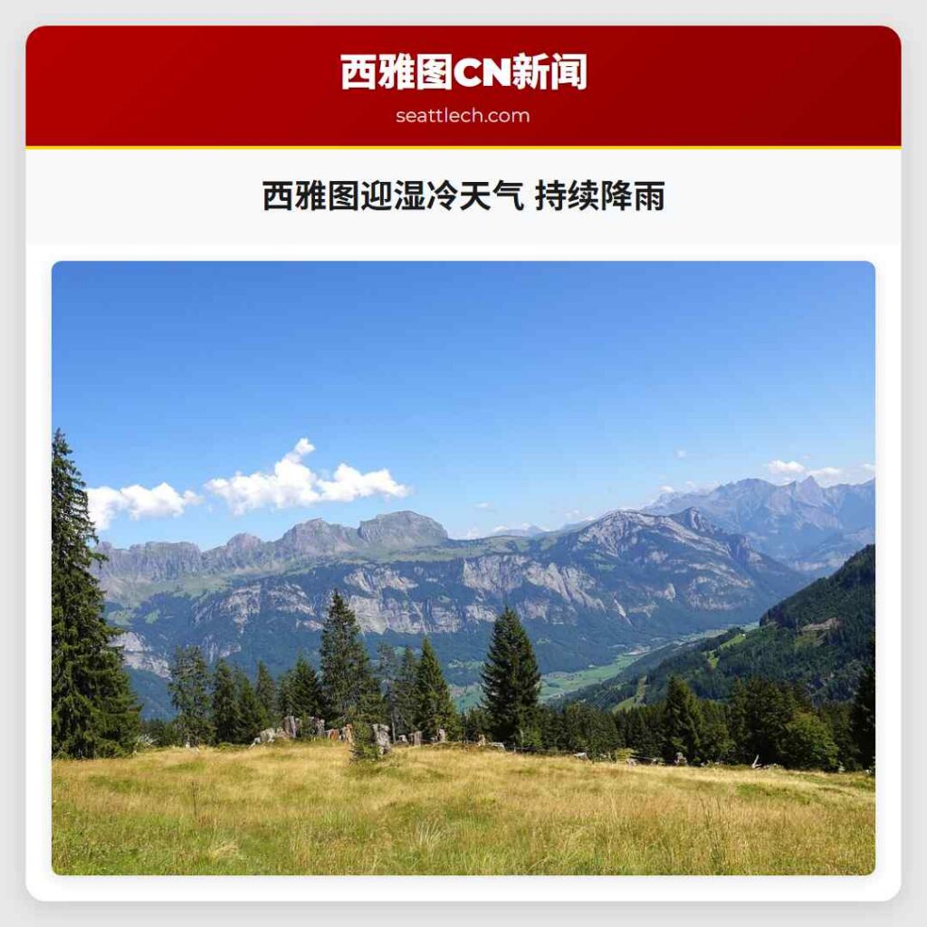 西雅图迎湿冷天气 持续降雨