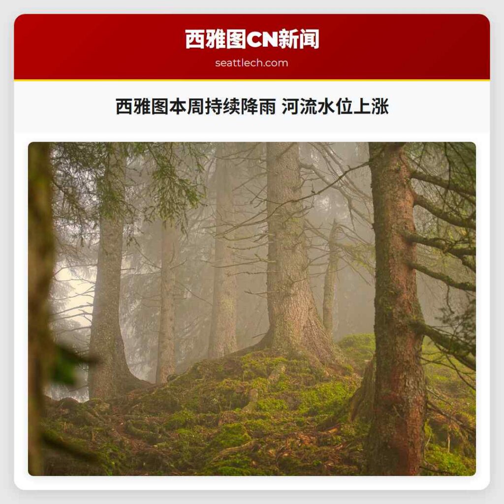 西雅图本周持续降雨 河流水位上涨