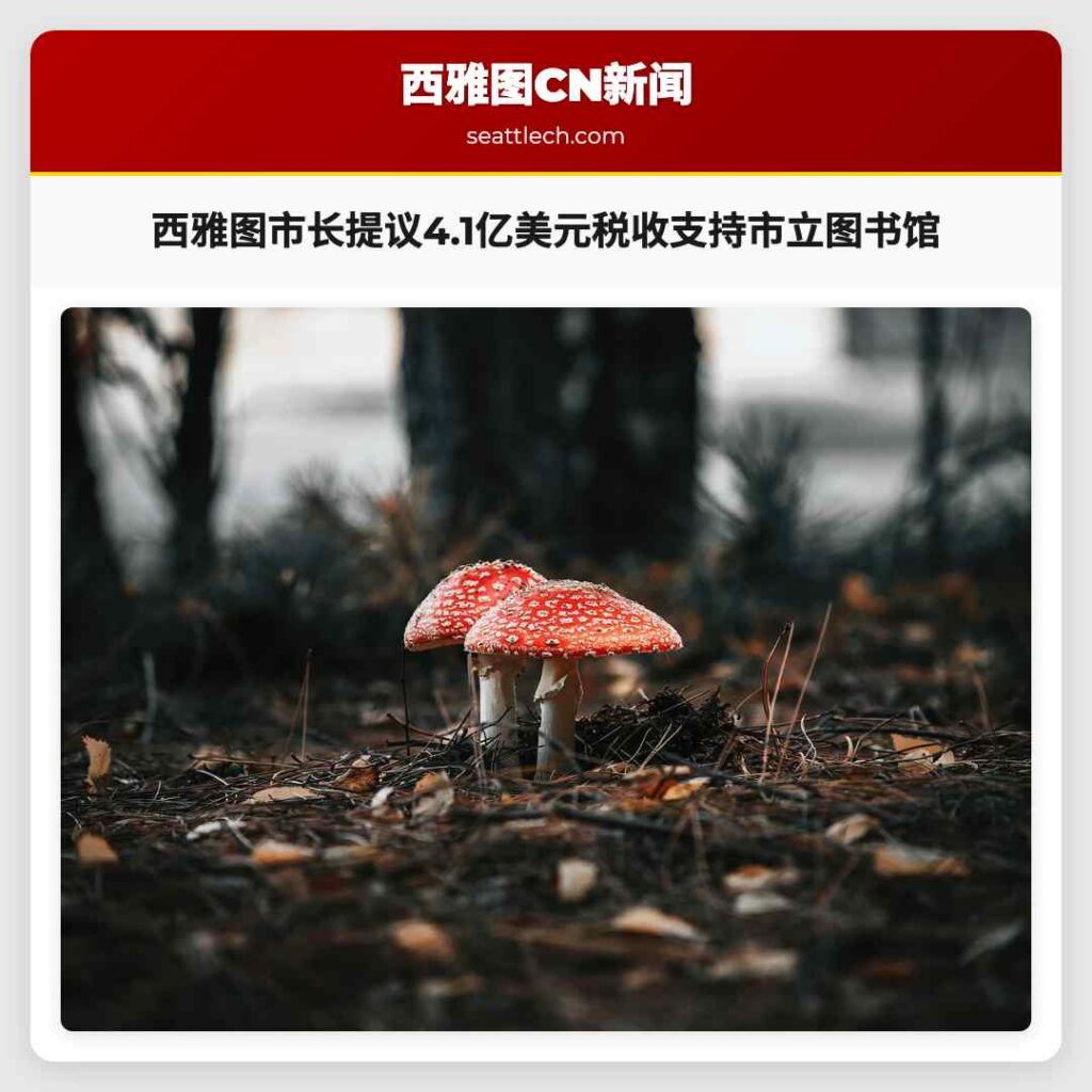 西雅图市长提议4.1亿美元税收支持市立图书馆