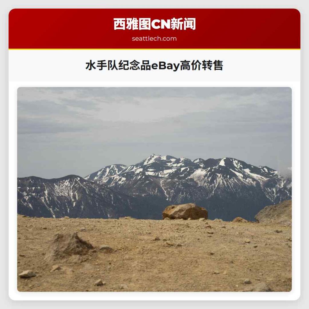 水手队纪念品eBay高价转售