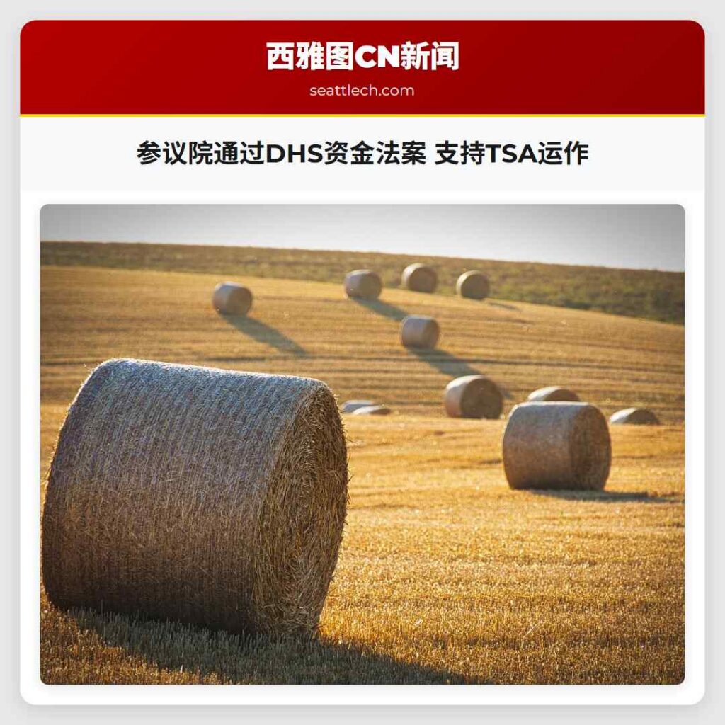 参议院通过DHS资金法案 支持TSA运作