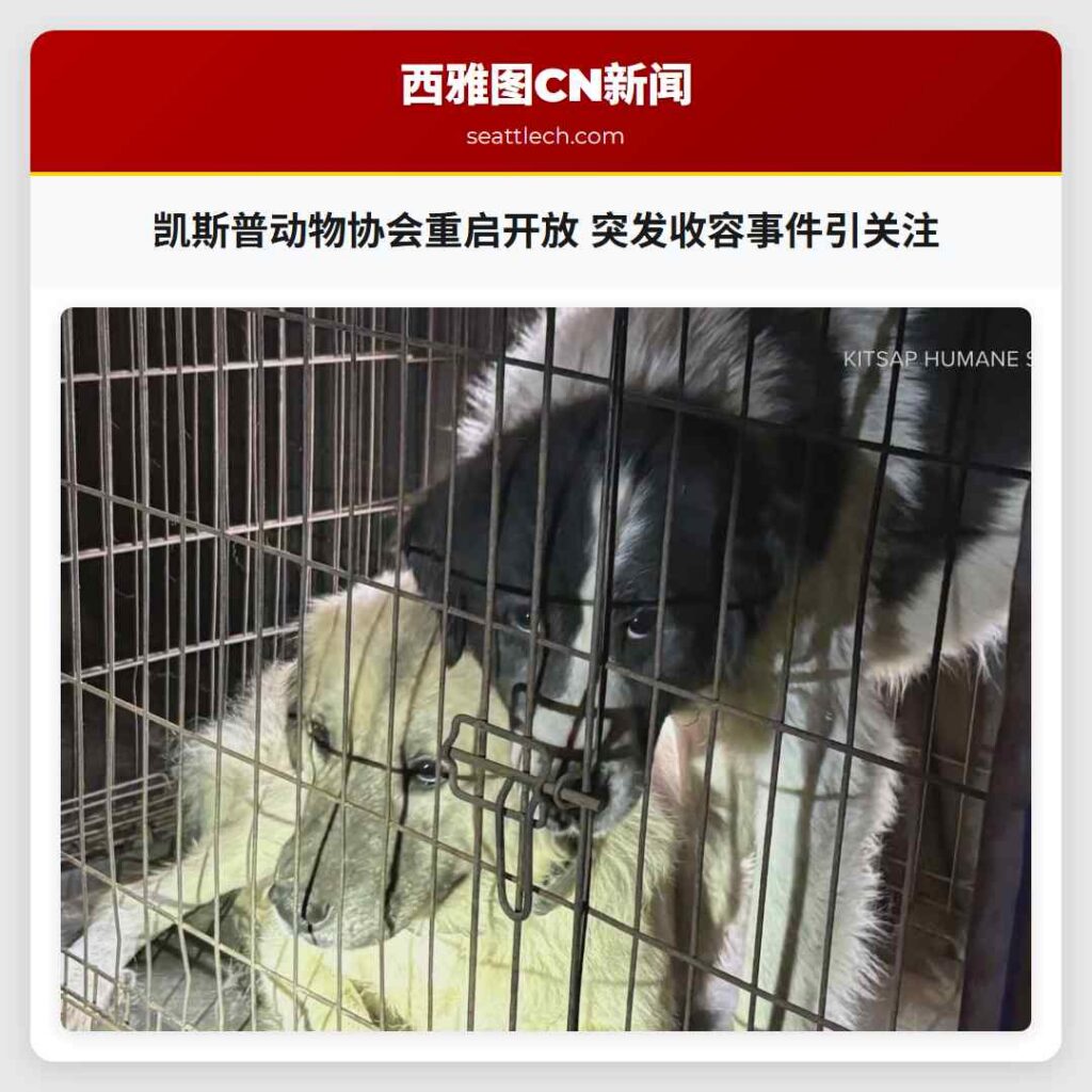 凯斯普动物协会重启开放 突发收容事件引关注