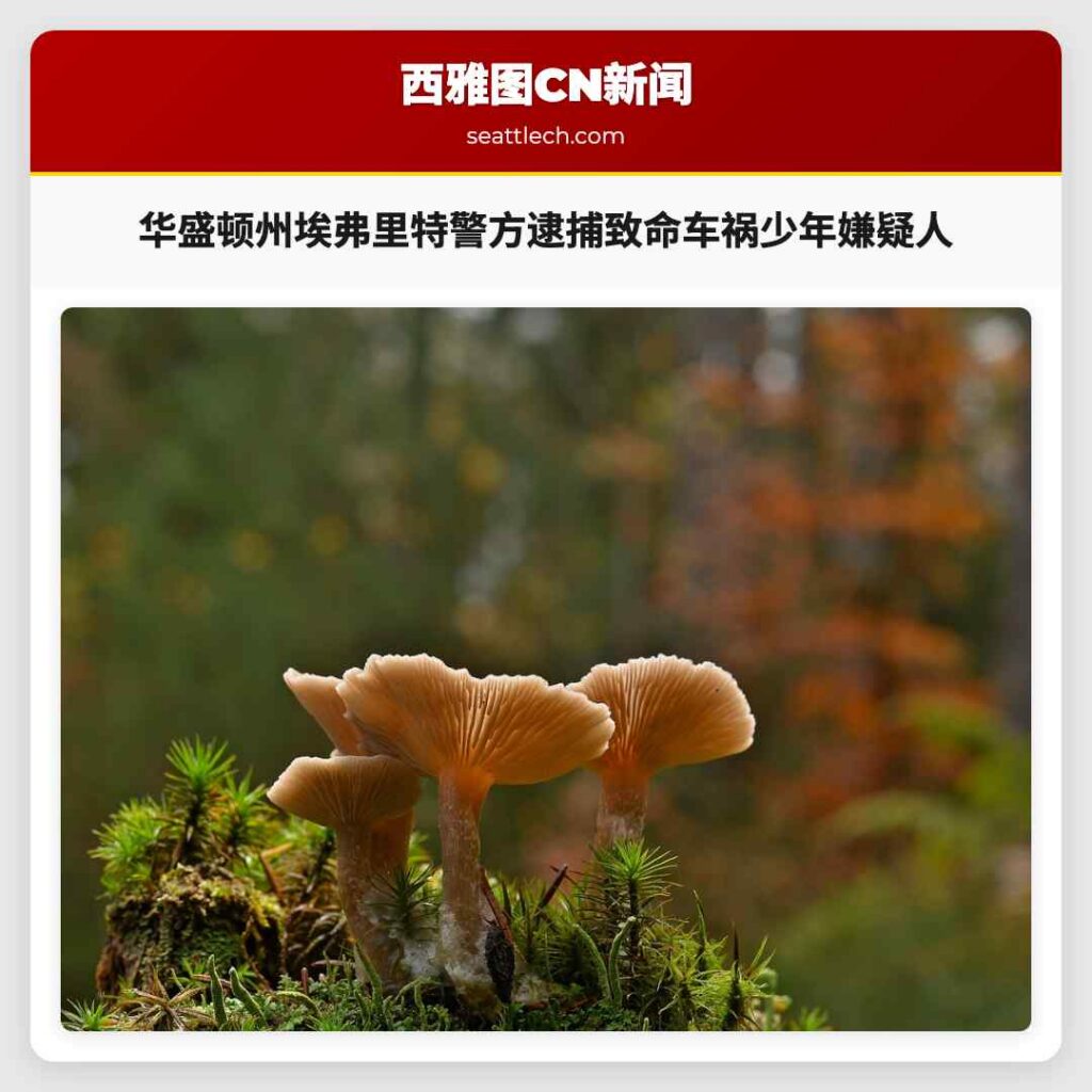 华盛顿州埃弗里特警方逮捕致命车祸少年嫌疑人