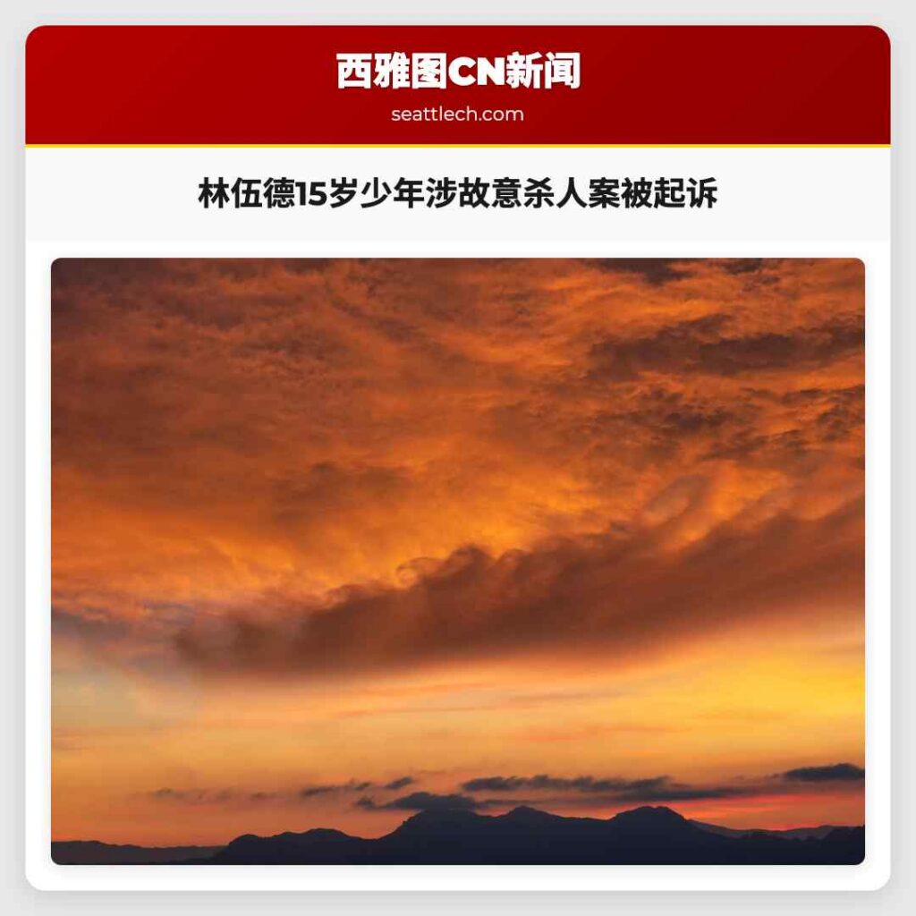 林伍德15岁少年涉故意杀人案被起诉