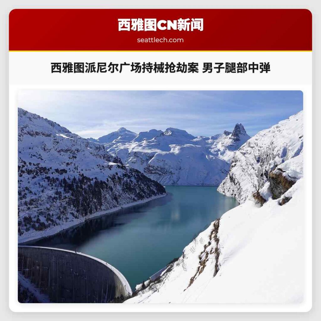 西雅图派尼尔广场持械抢劫案 男子腿部中弹