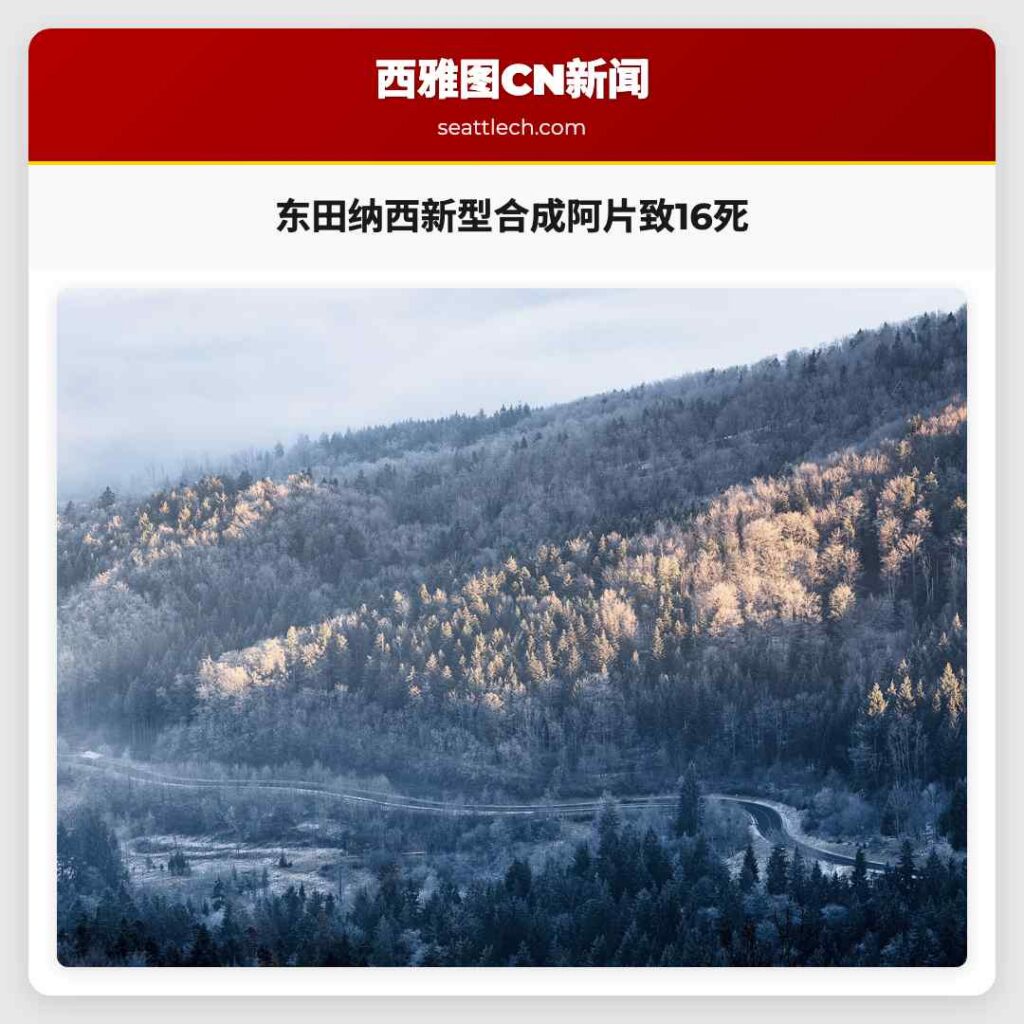 东田纳西新型合成阿片致16死