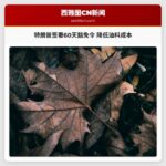 特朗普签署60天临时豁免令 降低油料成本