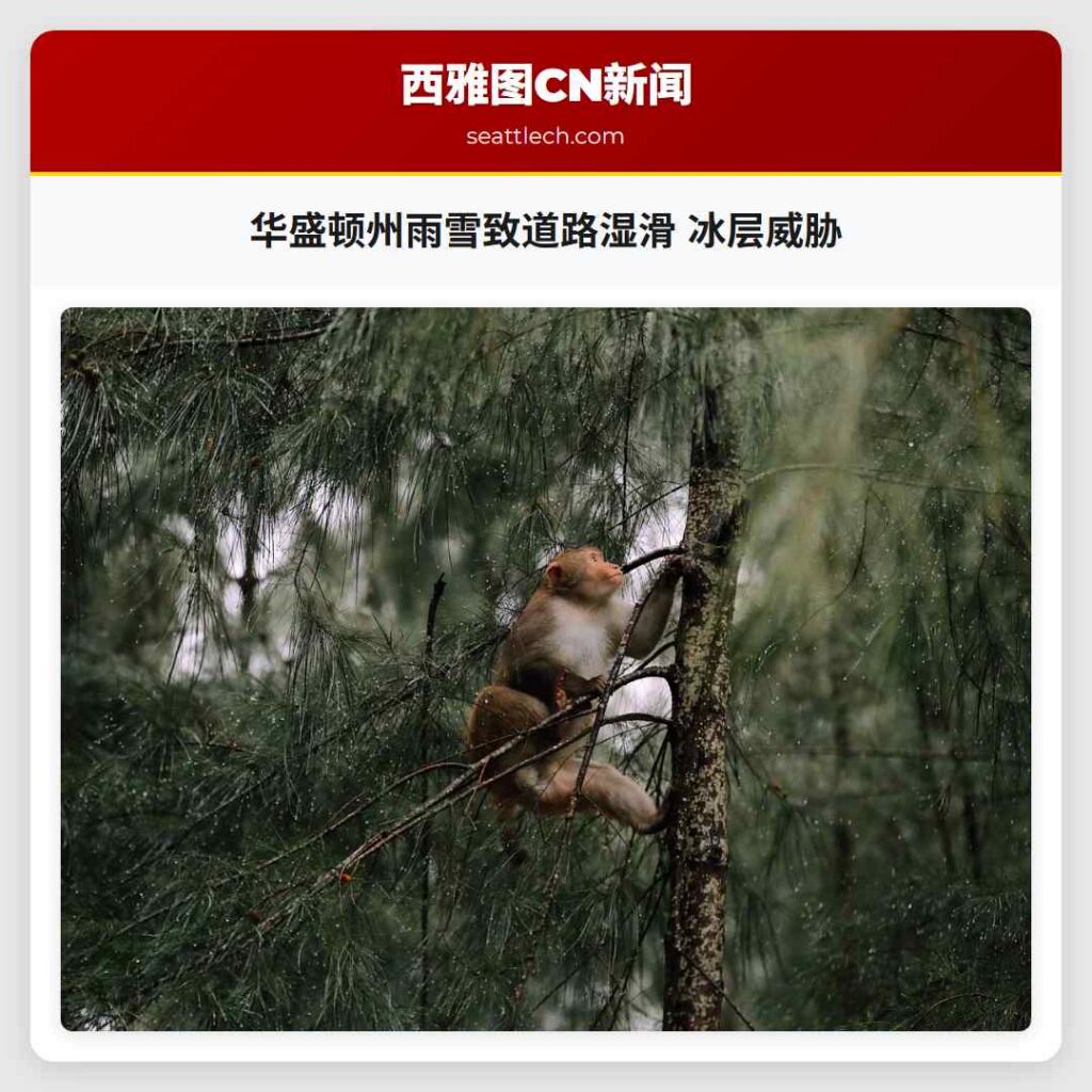 华盛顿州雨雪致道路湿滑 冰层威胁