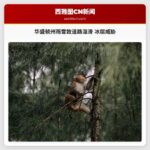 华盛顿州雨雪天气致道路湿滑，部分区域出现冰层威胁