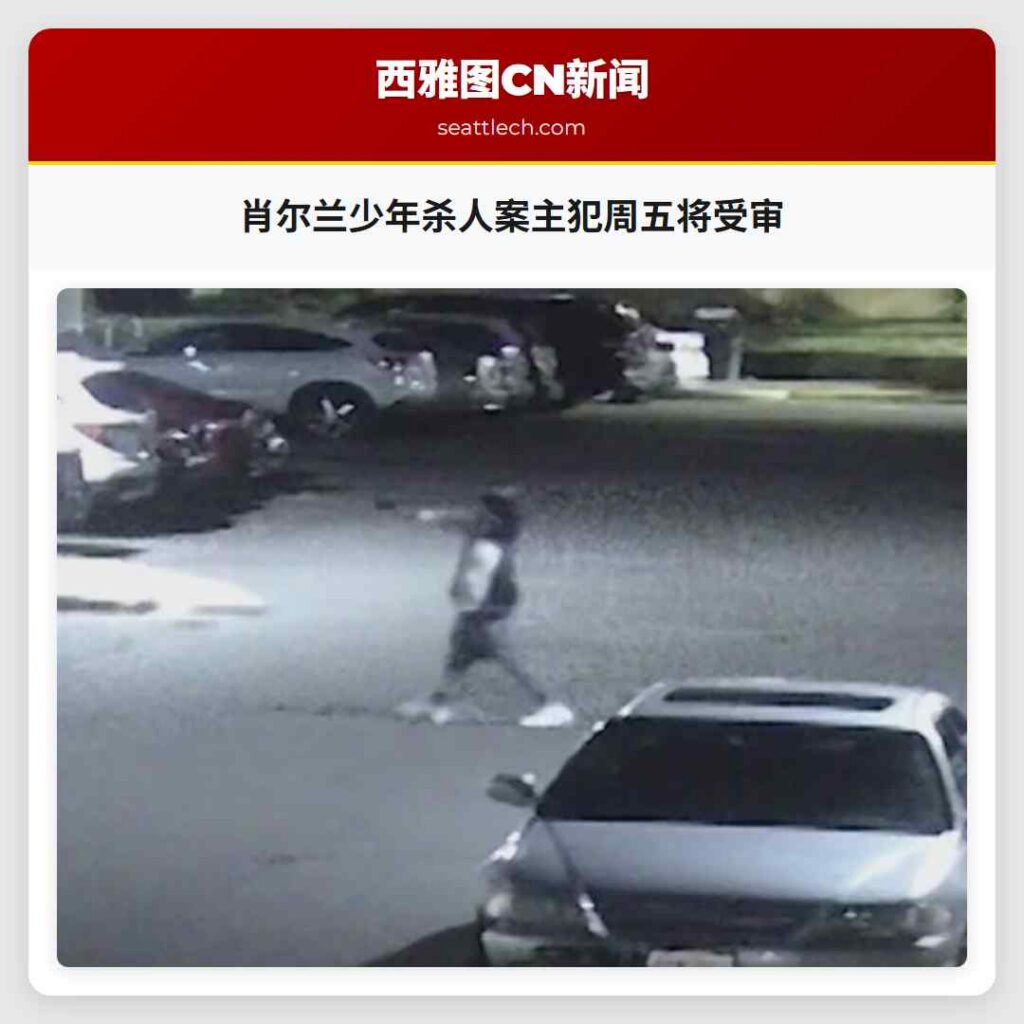 肖尔兰少年杀人案主犯周五将受审