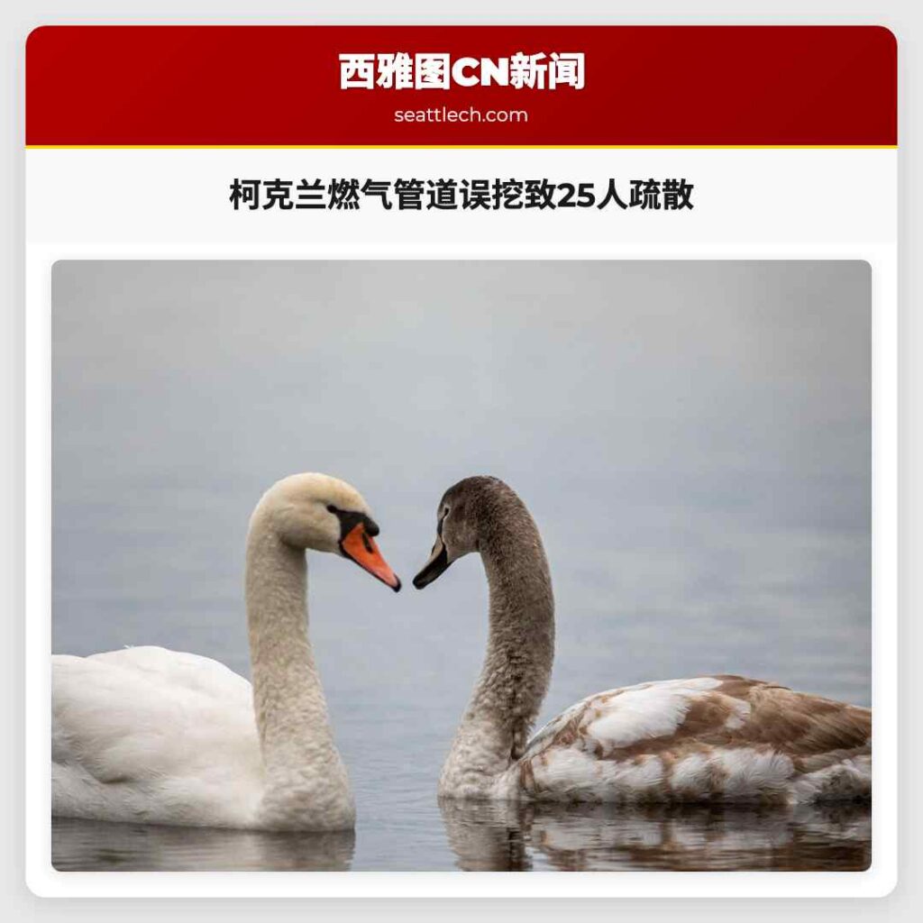 柯克兰燃气管道误挖致25人疏散