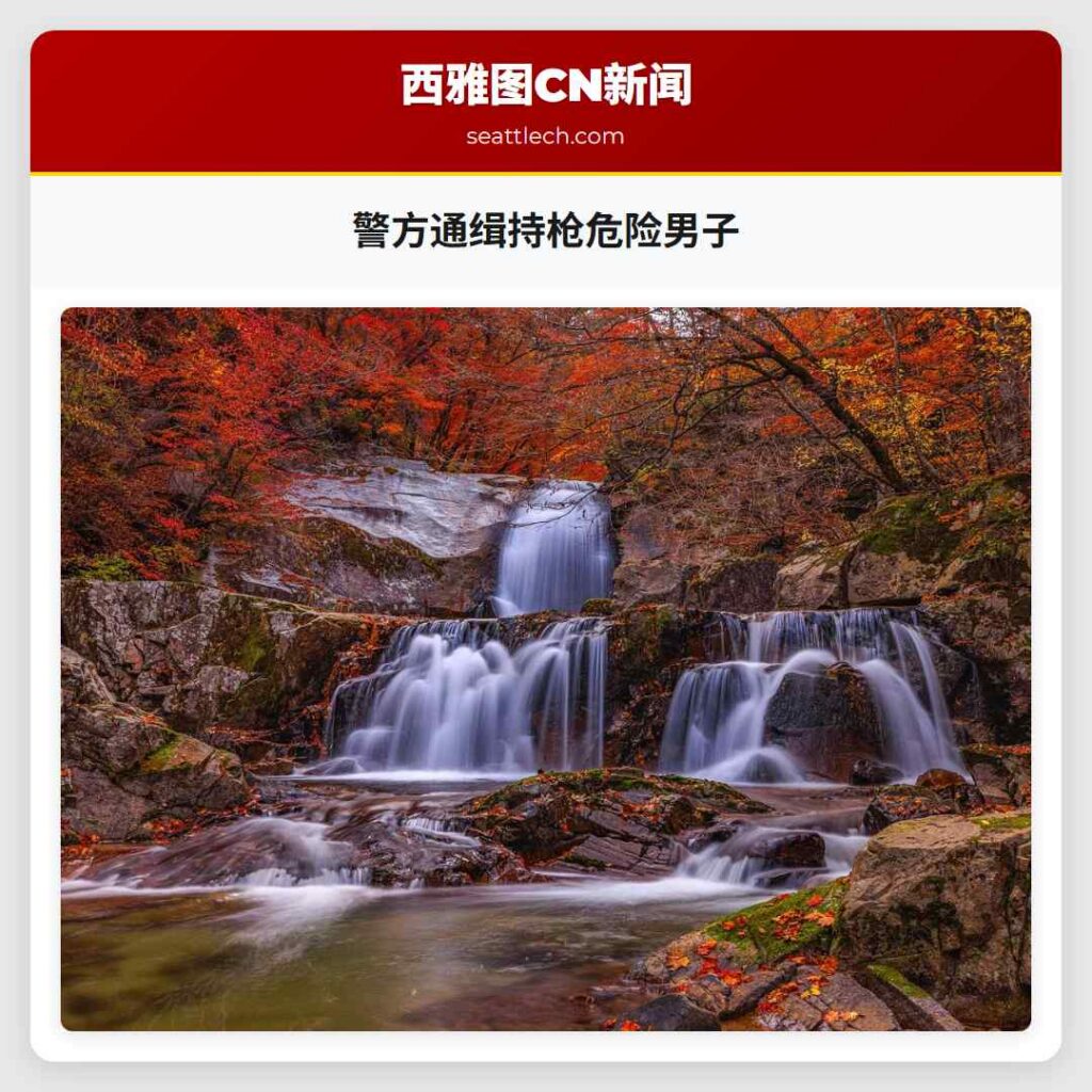 警方通缉持枪危险男子