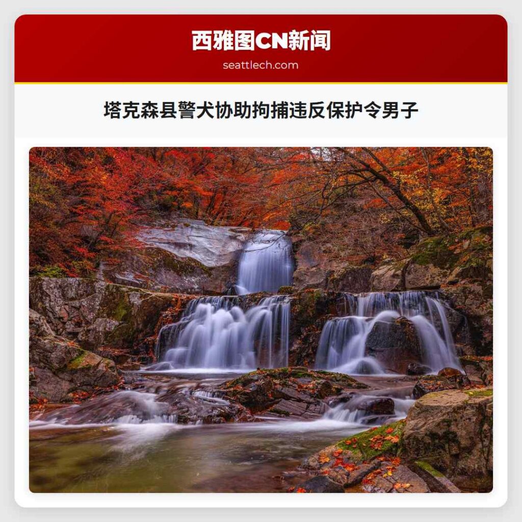 塔克森县警犬协助拘捕违反保护令男子