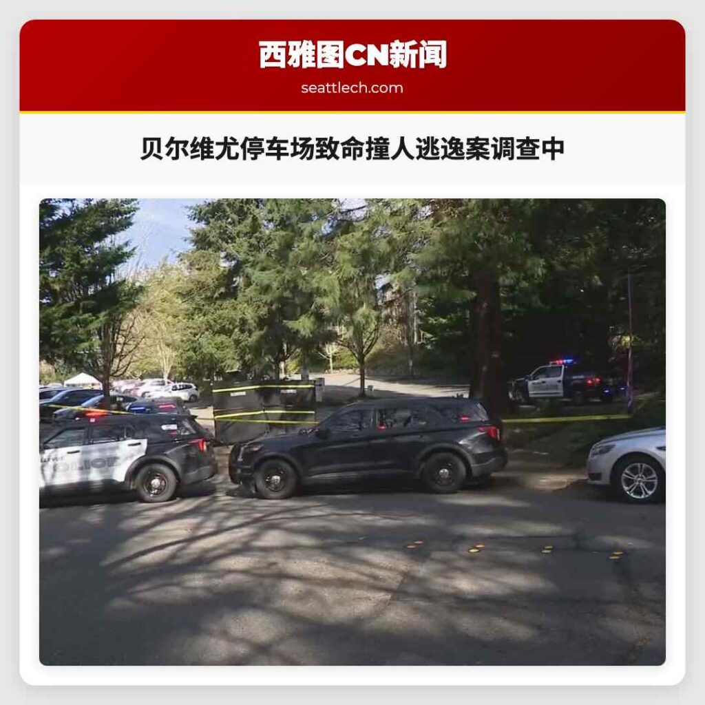贝尔维尤停车场致命撞人逃逸案调查中