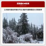 三月暴风雪后积雪仍不足 西部华盛顿或迎火灾高发季