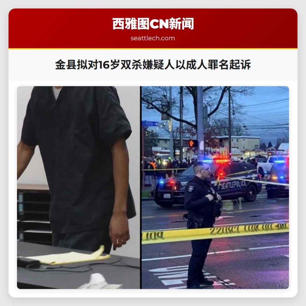 金县拟对16岁双杀嫌疑人以成人罪名起诉