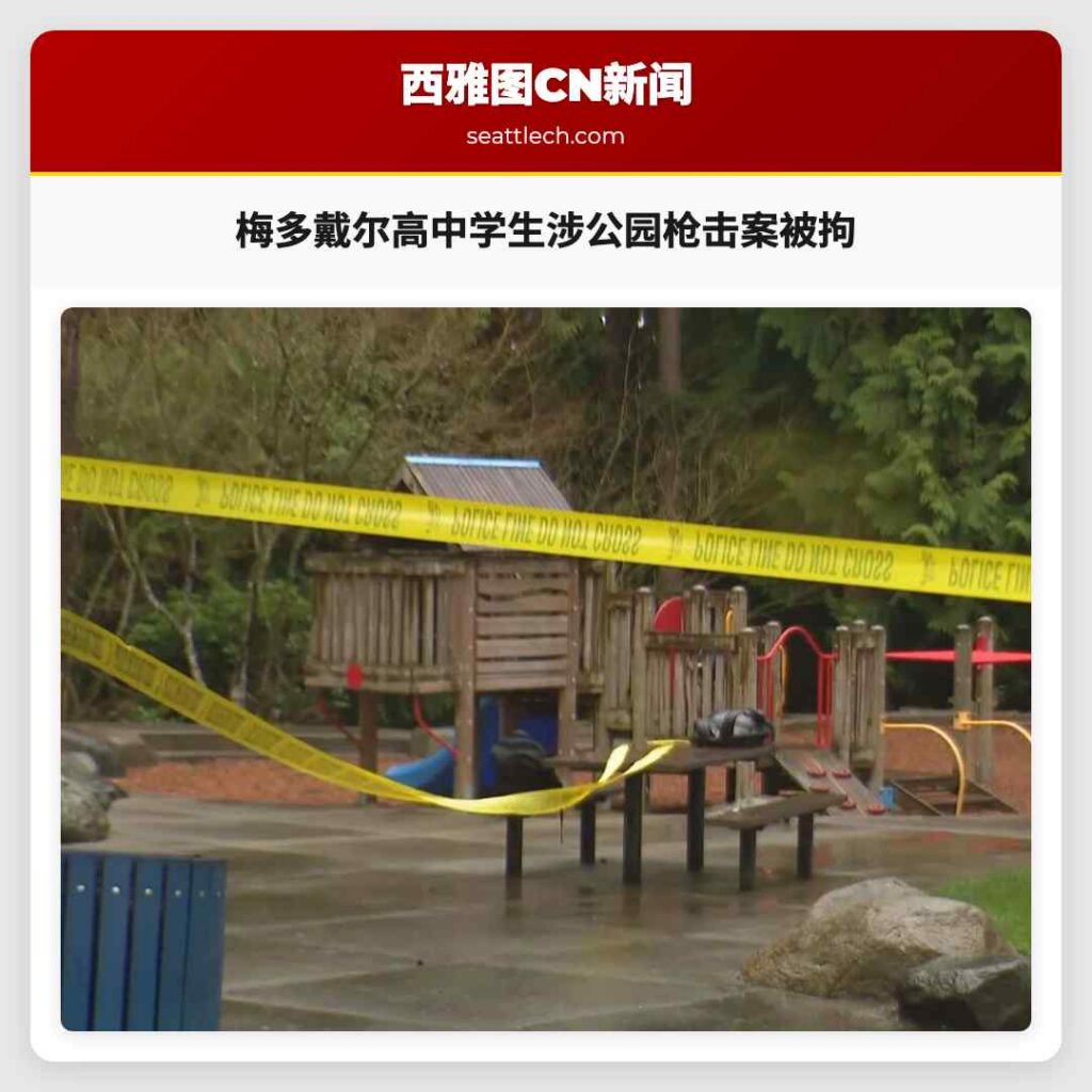 梅多戴尔高中学生涉公园枪击案被拘