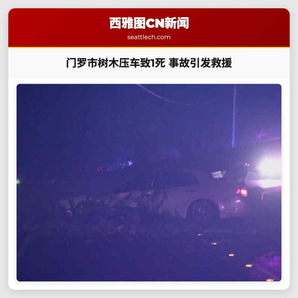 门罗市树木压车致1死 事故引发救援