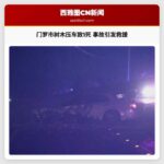 华盛顿州门罗市发生树木压车致1死事故