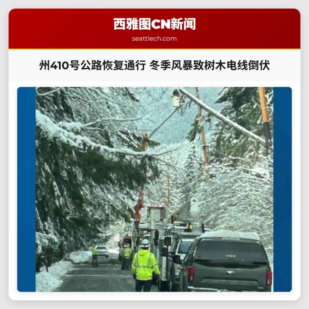 州410号公路恢复通行 冬季风暴致树木电线倒伏