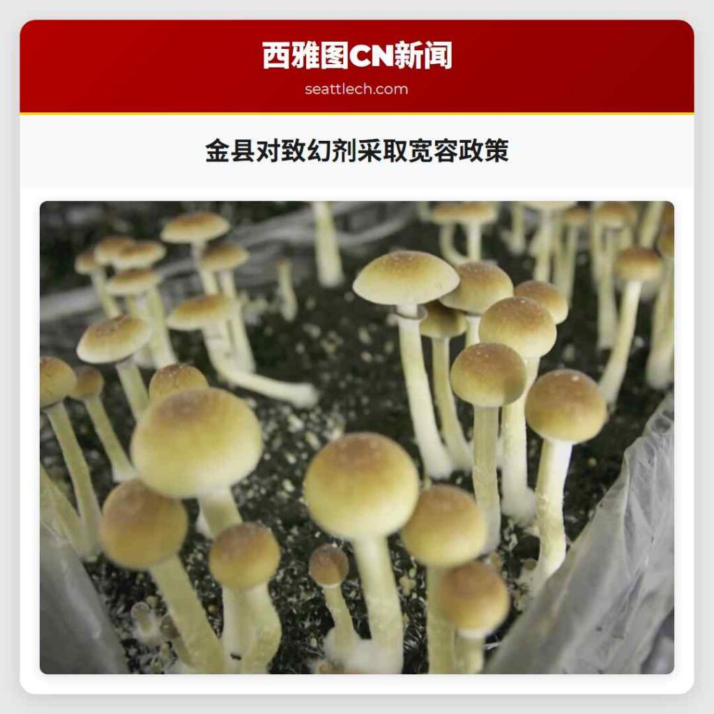 金县对致幻剂采取宽容政策