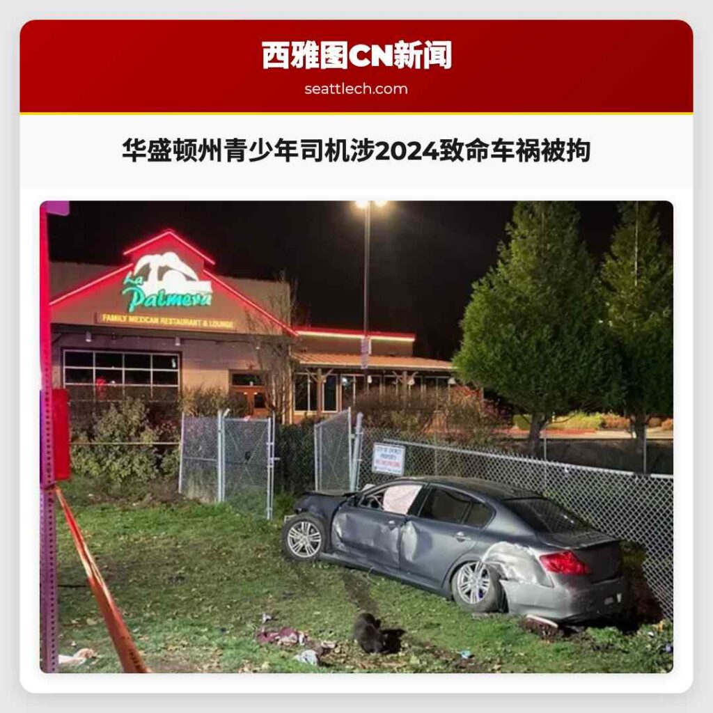 华盛顿州青少年司机涉2024致命车祸被拘