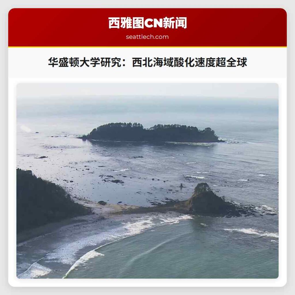 华盛顿大学研究：西北海域酸化速度超全球