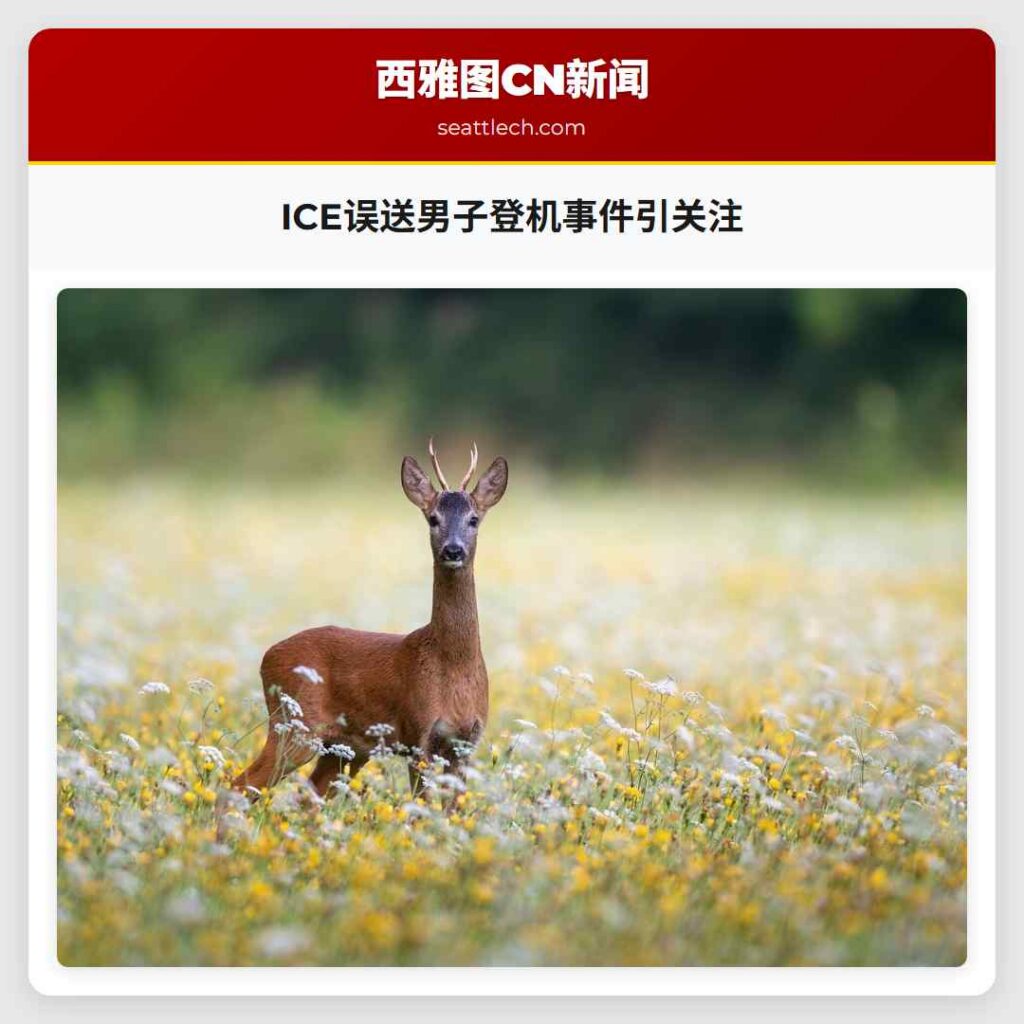 ICE误送男子登机事件引关注