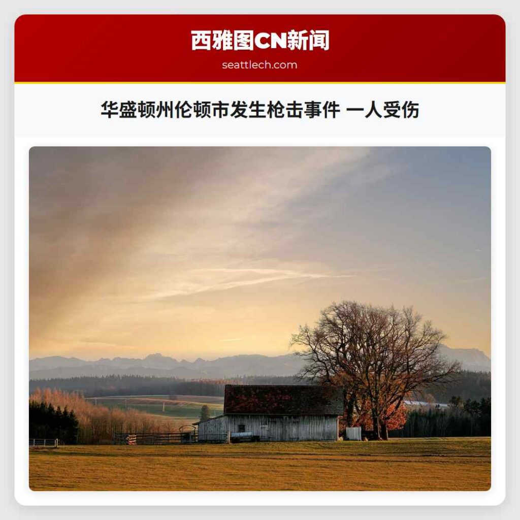 华盛顿州伦顿市发生枪击事件 一人受伤