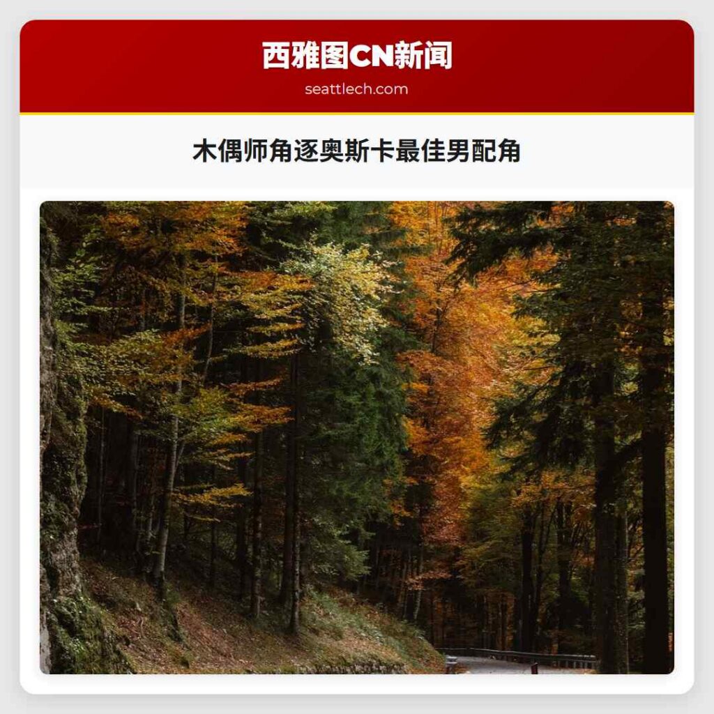 木偶师角逐奥斯卡最佳男配角