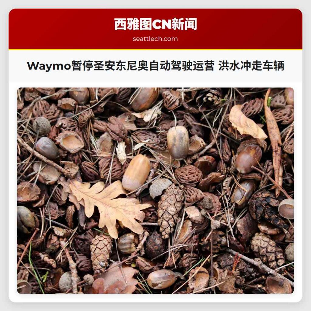 Waymo暂停圣安东尼奥自动驾驶运营 洪水冲走车辆