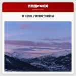 家长因孩子被狼咬伤被起诉