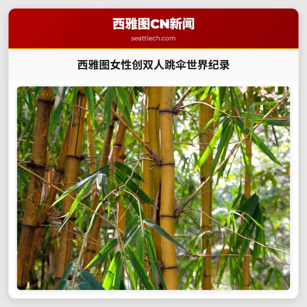 西雅图女性创双人跳伞世界纪录