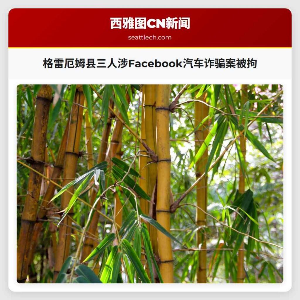 格雷厄姆县三人涉Facebook汽车诈骗案被拘