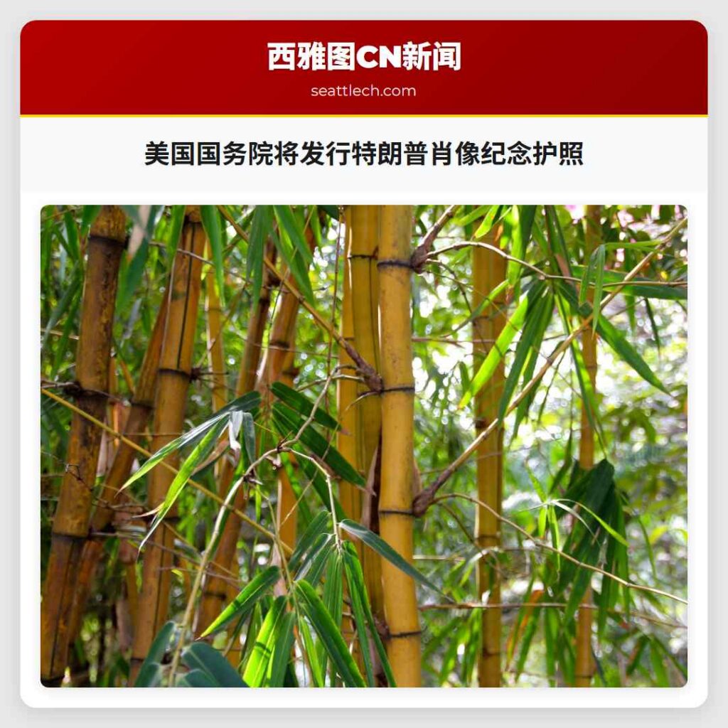 美国国务院将发行特朗普肖像纪念护照