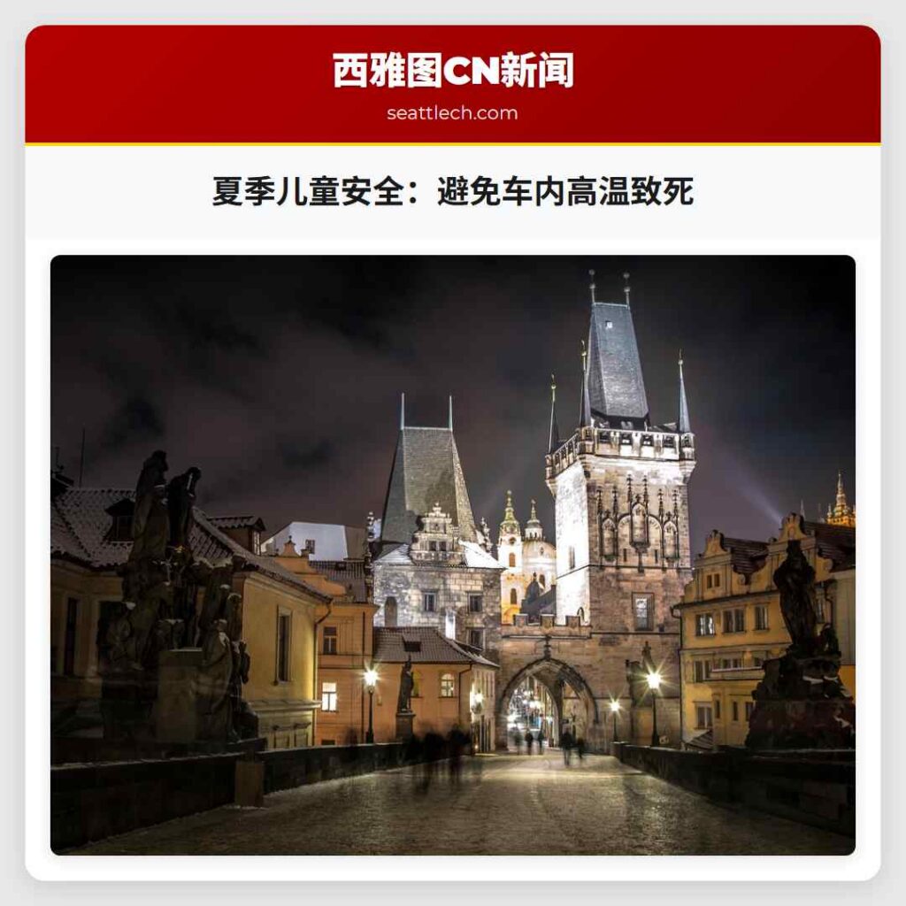 夏季儿童安全：避免车内高温致死
