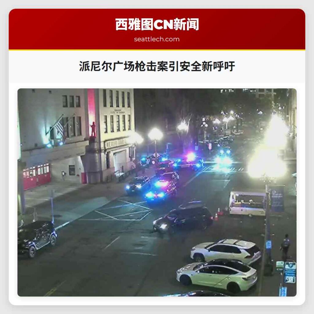 派尼尔广场枪击案引安全新呼吁