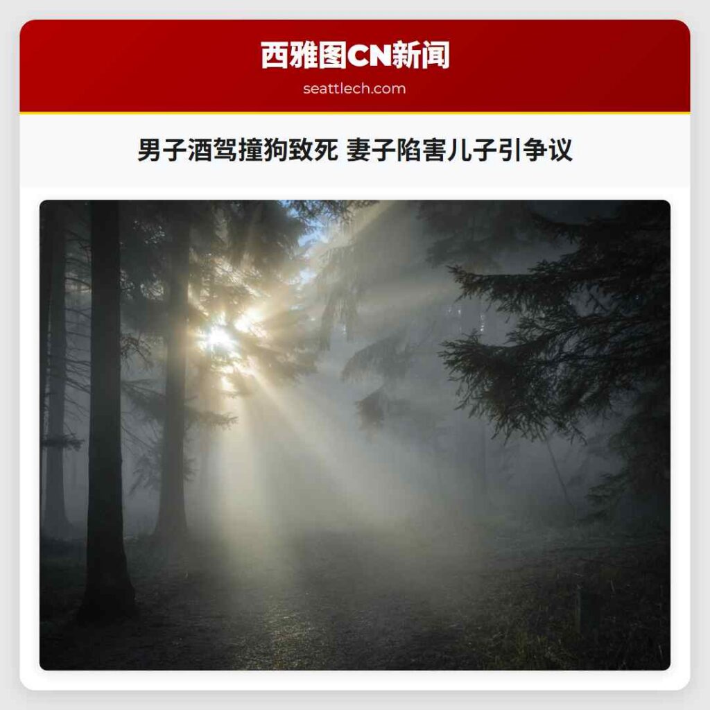 男子酒驾撞狗致死 妻子陷害儿子引争议