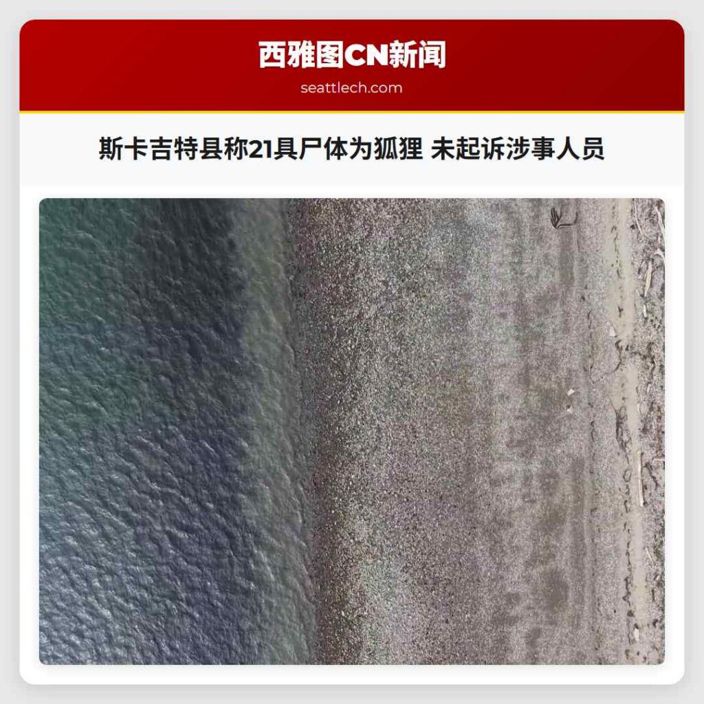 斯卡吉特县称21具尸体为狐狸 未起诉涉事人员