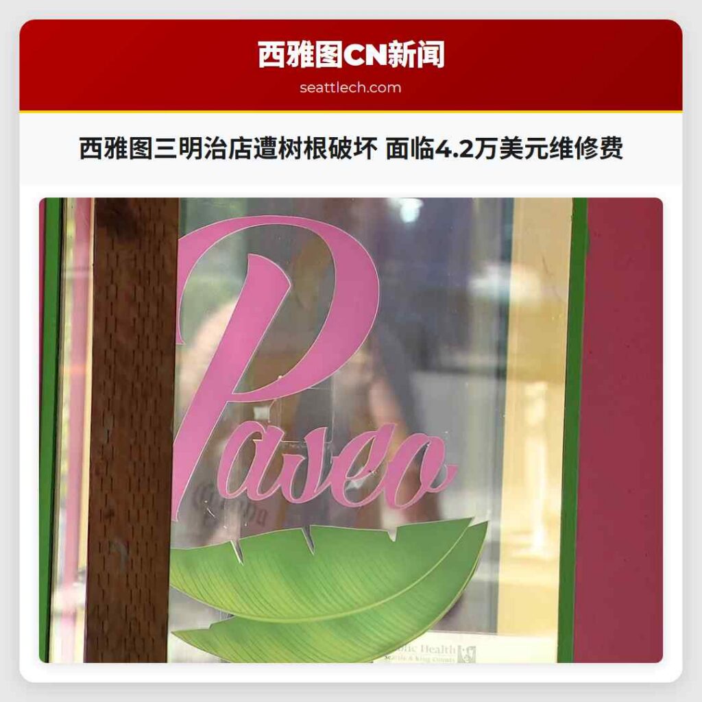 西雅图三明治店遭树根破坏 面临4.2万美元维修费