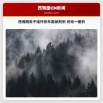 西雅图男子连环抢车案被判刑 将周一量刑