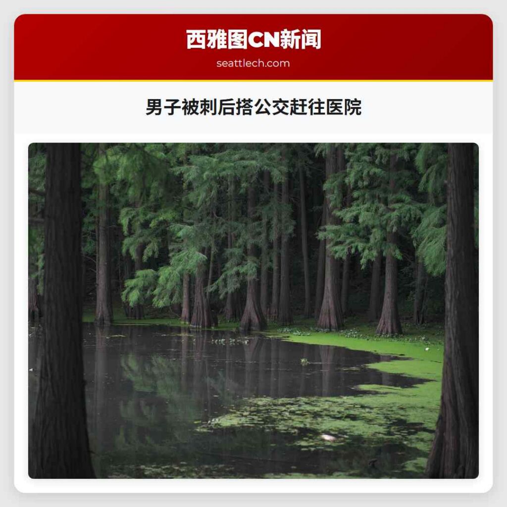 男子被刺后搭公交赶往医院