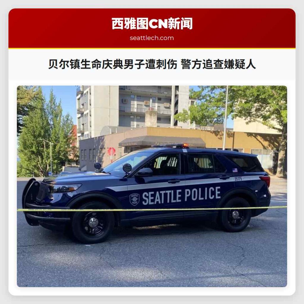 贝尔镇生命庆典男子遭刺伤 警方追查嫌疑人