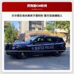 贝尔镇生命庆典男子遭刺伤 警方追查嫌疑人