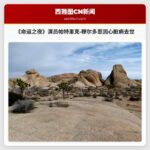 《命运之夜》演员帕特里克·穆尔多恩因心脏病去世