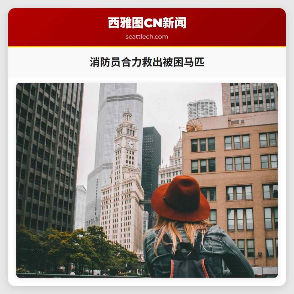 消防员合力救出被困马匹